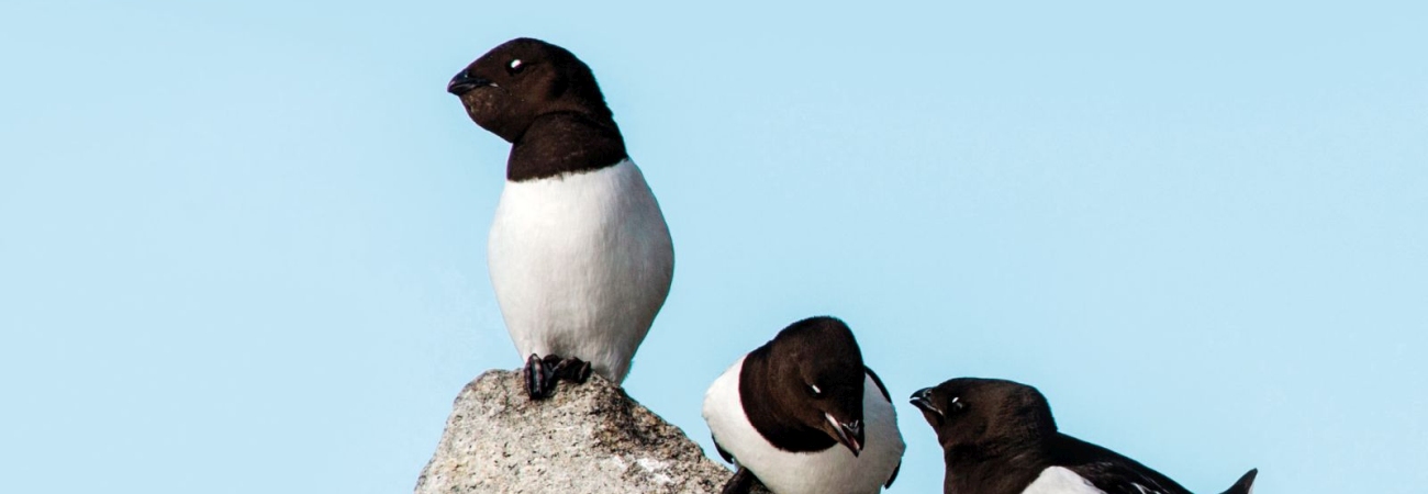 Foto: PolarQuest